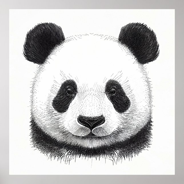Panda Bear Vild Natur Illustration Art. Poster (Framsidan)