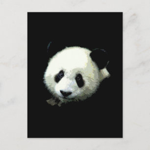 Panda Bear Vykort