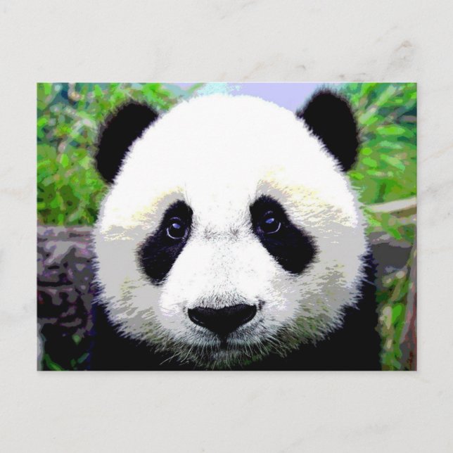 Panda Bear Vykort (Framsida)
