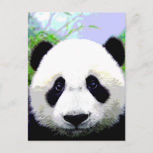 Panda Bear Vykort