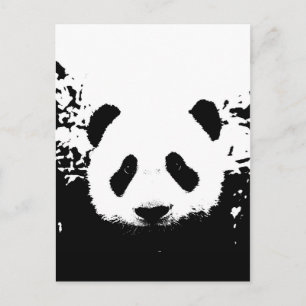 Panda Bear Vykort