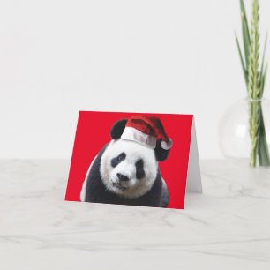 Panda Bear Wearing a Jultomten Hat for jul Tack Kort
