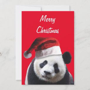 Panda Bear Wearing a Jultomten Hat for jul Tack Kort