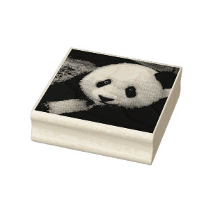PANDA BEARBETAT FOTORAFICERINGSGUBBER FRIMÄRKE STÄMPEL