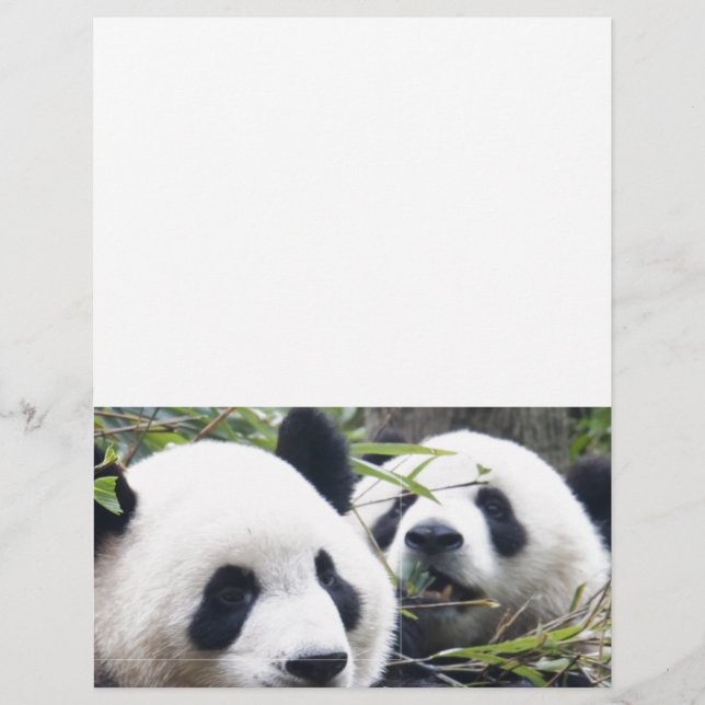 Panda Bears (Framsida)