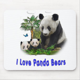 Panda beras musmatta