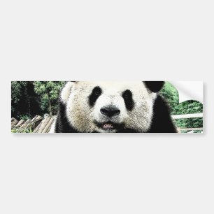 Panda Bildekal