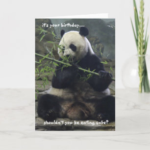 Panda Birthday Card, Eat Cake, inte bambu! Kort