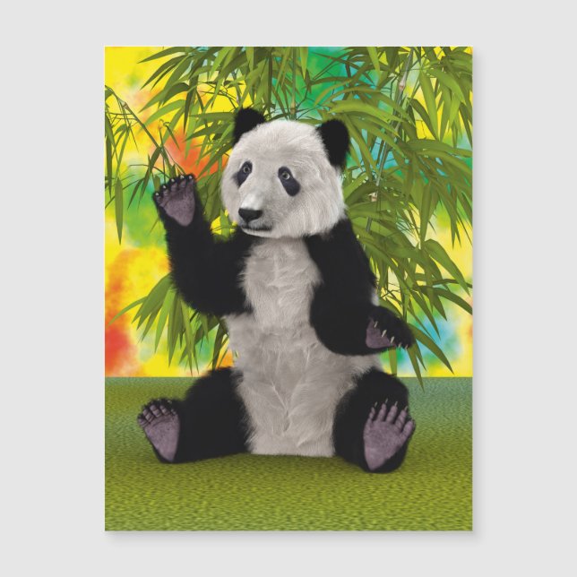Panda björn (Framsida)