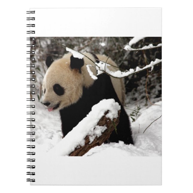 Panda björn anteckningsbok (Framsidan)