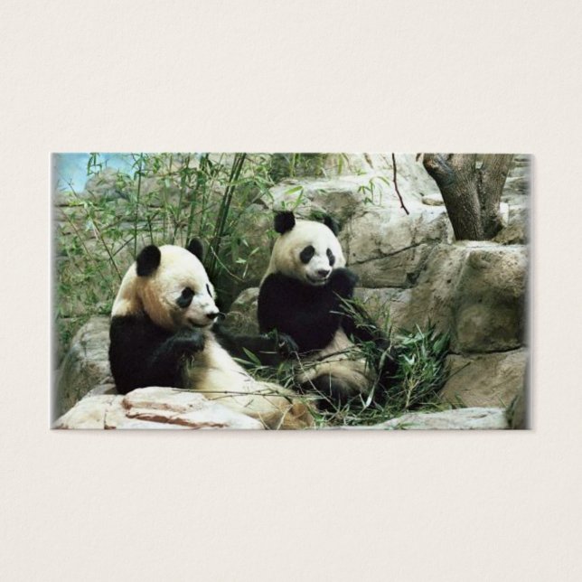 Panda-björn äter och spelar visitkort (Framsidan)