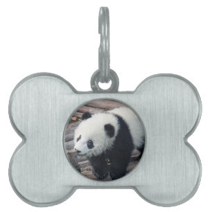 panda björn björnar anpassa personifiera jubileer ID-bricka husdjur