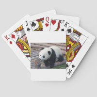 panda björn björnar anpassa personlig årsdagar