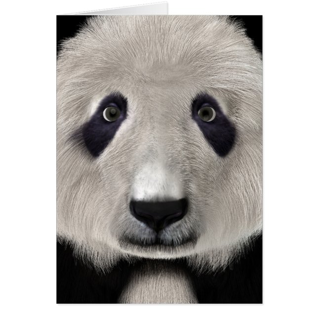 Panda björn hälsningskort (Framsidan)