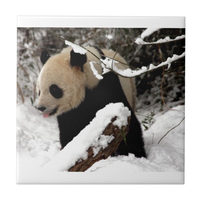 Panda björn kakelplatta (Framsidan)