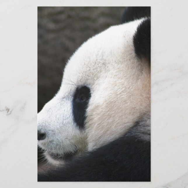 Panda Björn Kramar (Framsida)