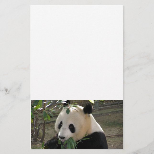 Panda Björn Kramar Brevpapper (Framsida)