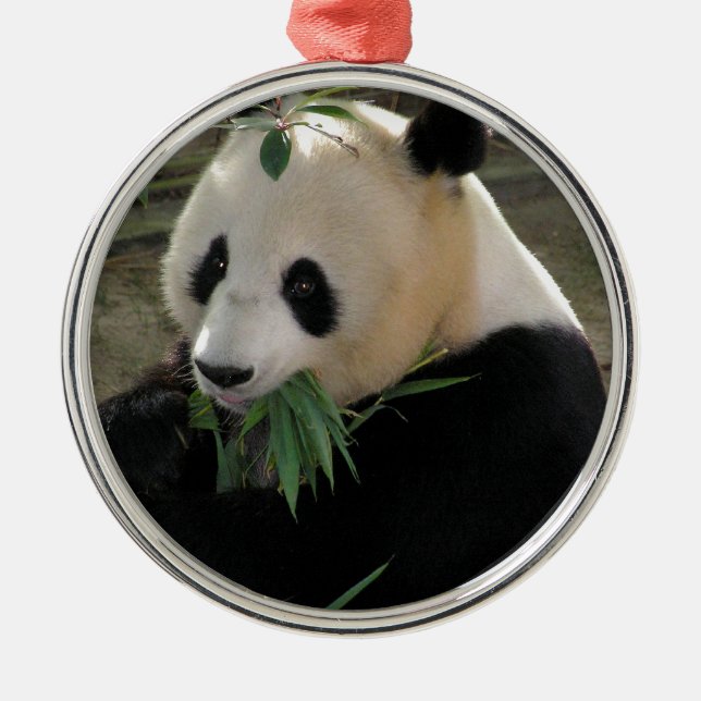 Panda Björn Kramar Julgransprydnad Metall (Framsidan)