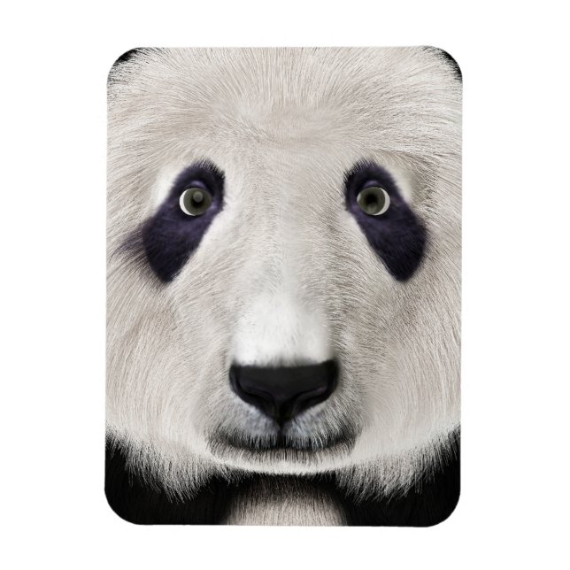 Panda Björn Magnet (Vertikal)