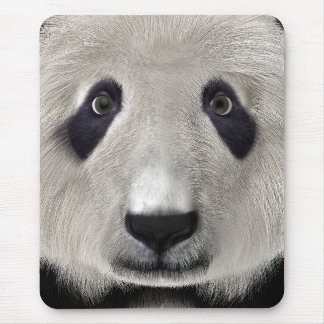 Panda Björn Musmatta (Framsidan)
