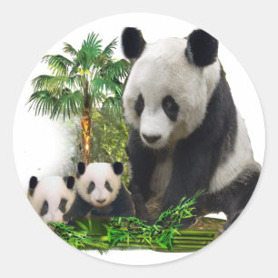 Panda björn och ungar konst metall ornament runt klistermärke