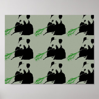 Panda björn poster