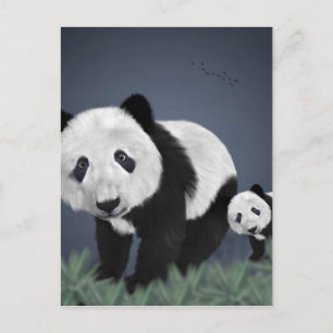 panda björn söt gullig djur svart vit snäll vykort