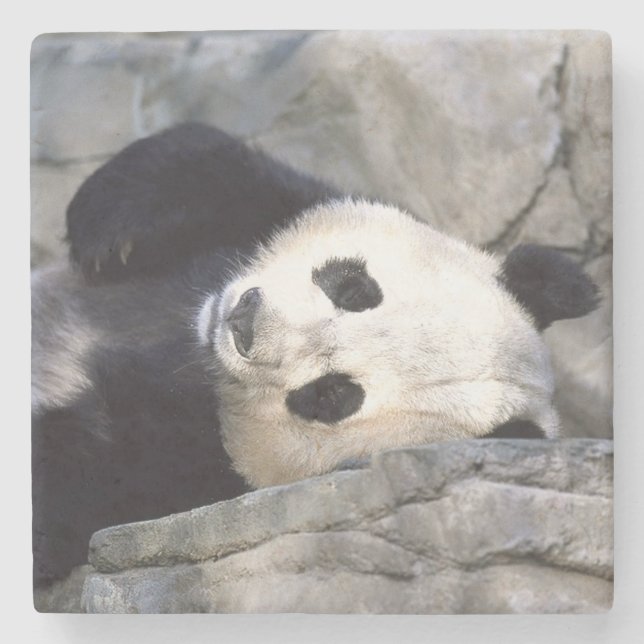 Panda björn stenunderlägg (Framsidan)