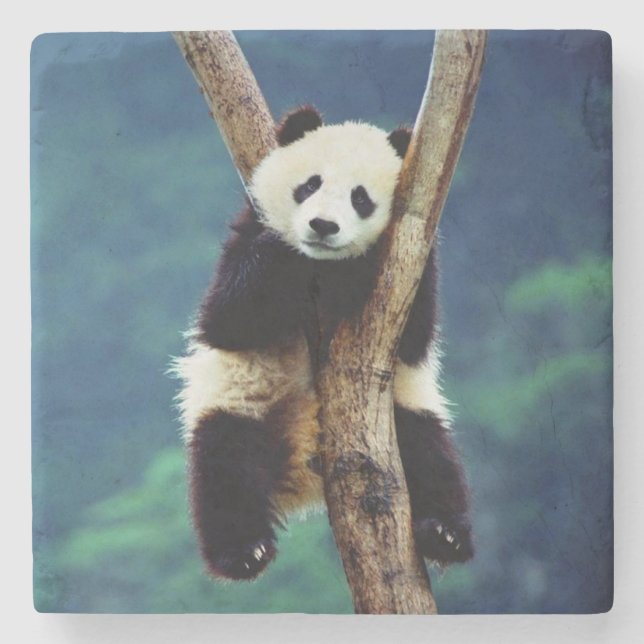 Panda björn stenunderlägg (Framsidan)