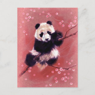Panda Blommar Vykort