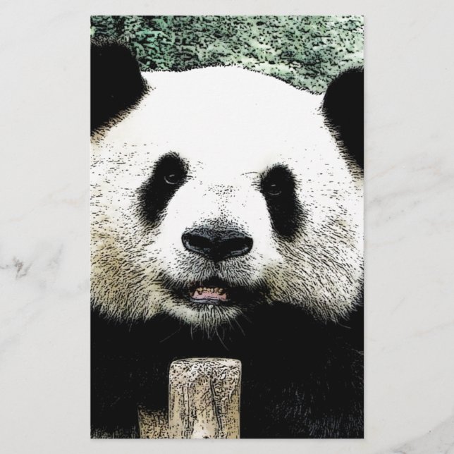 Panda Brevpapper (Framsida)