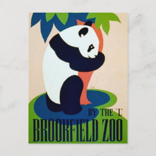 Panda Brookfield Zoo-vykort Vykort