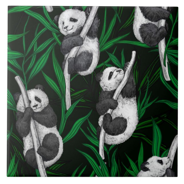 Panda cubs on dark green kakelplatta (Framsidan)