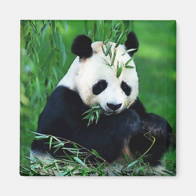 Panda Eating Lövs Magnet (Framsidan)