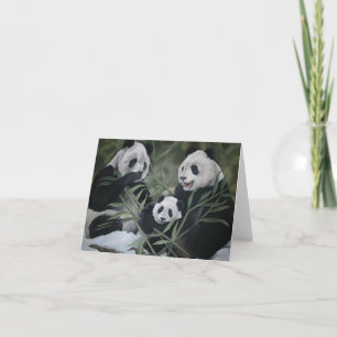 Panda Family Kort