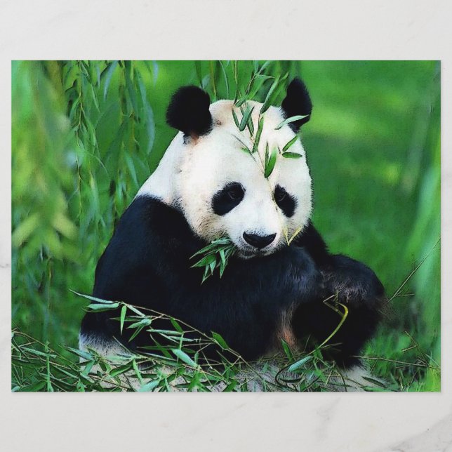 Panda Flyer (Framsidan)