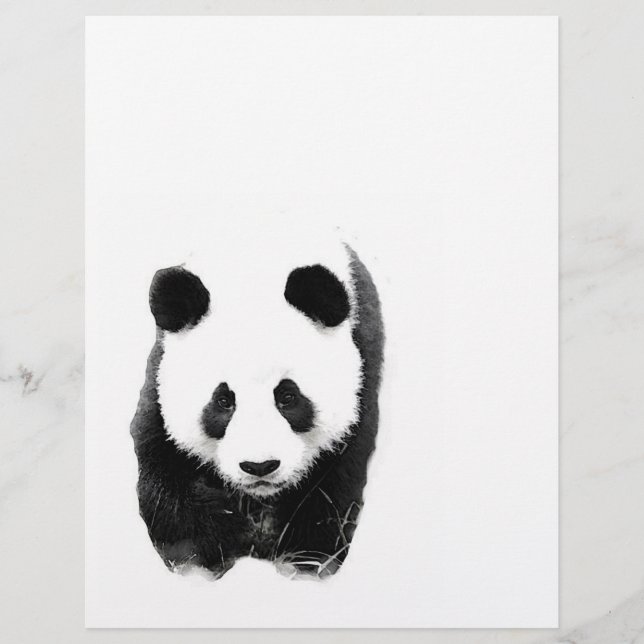 Panda Flyer (Framsidan)