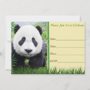 Panda födelsedagsinbjudan inbjudningar