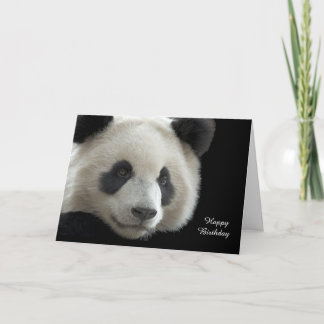 Panda för födelsedagskort kort