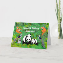 Panda & Friends in in the Bamboo Forest