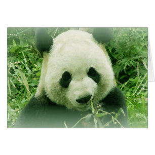 Panda Hälsningskort