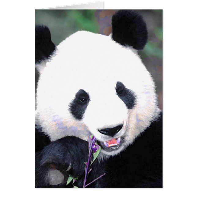 Panda Hälsningskort (Framsidan)
