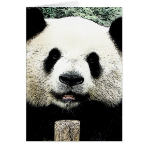 Panda Hälsningskort