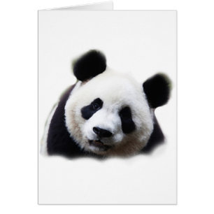 Panda Hälsningskort