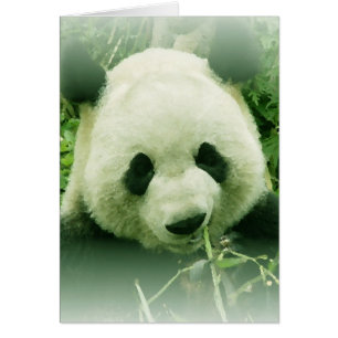 Panda Hälsningskort