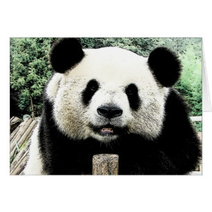 Panda Hälsningskort