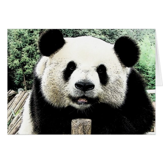 Panda Hälsningskort (Framsidan Horizontal)