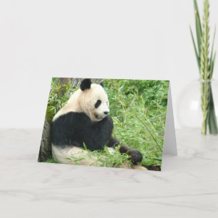 Panda-hälsningskort Kort