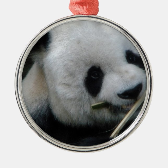 Panda Julgransprydnad Metall (Framsidan)