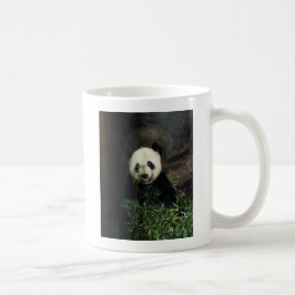 Panda Kaffemugg